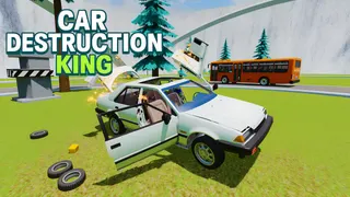 Car Destruction King